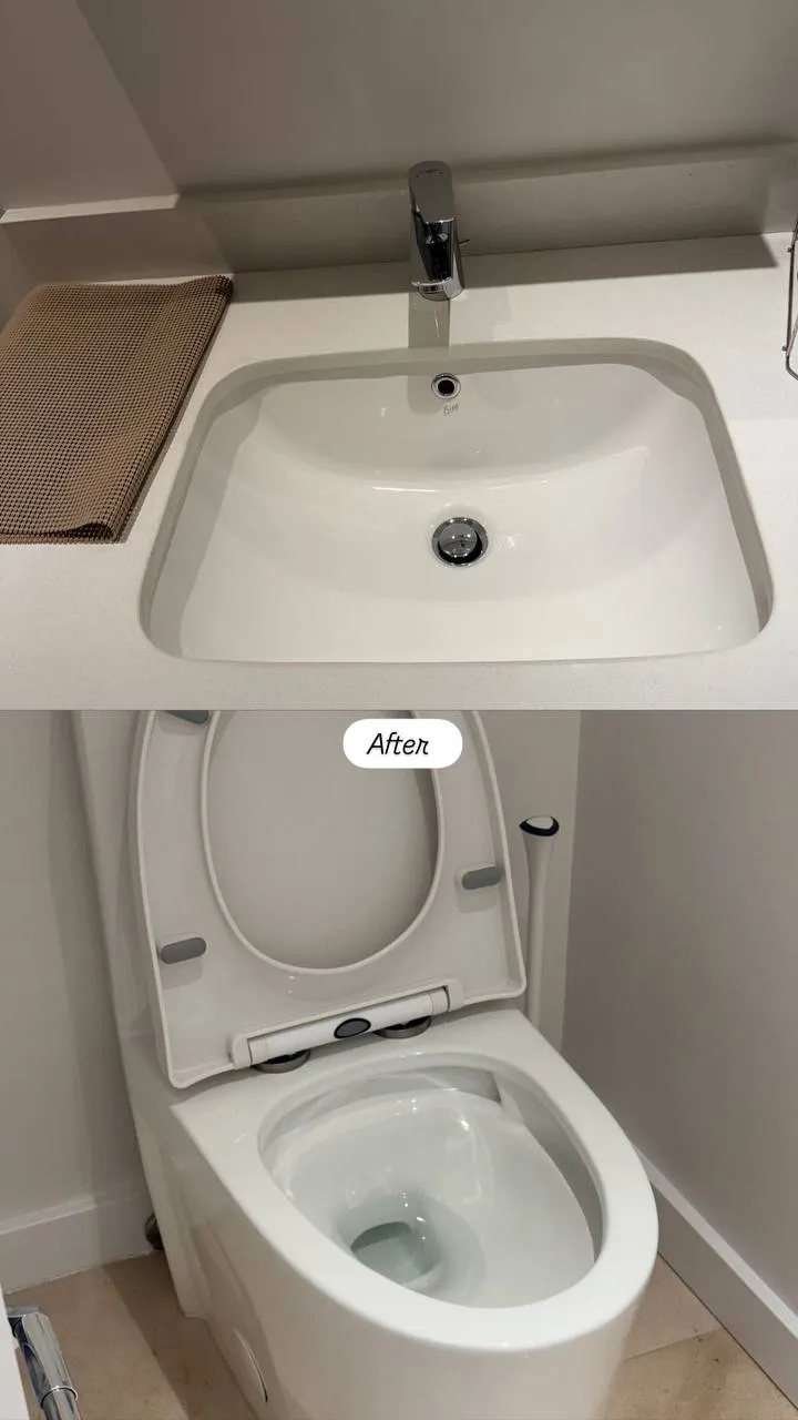 Bathroom sink and toilet before and after cleaning
